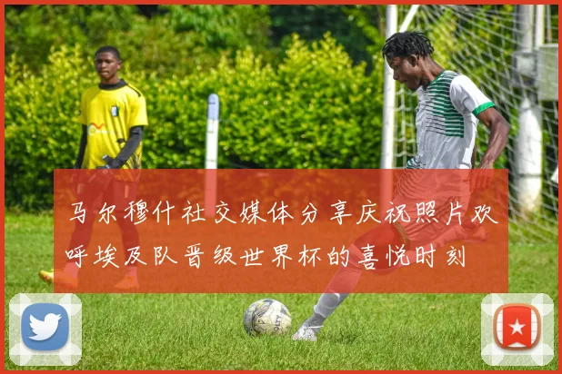 马尔穆什社交媒体分享庆祝照片欢呼埃及队晋级世界杯的喜悦时刻